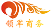 上海領(lǐng)軍商務(wù)咨詢(xún)有限公司